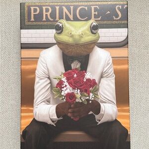 Genuine Fred Puzzle Complete Kiss Me 500 Piece Frog Prince